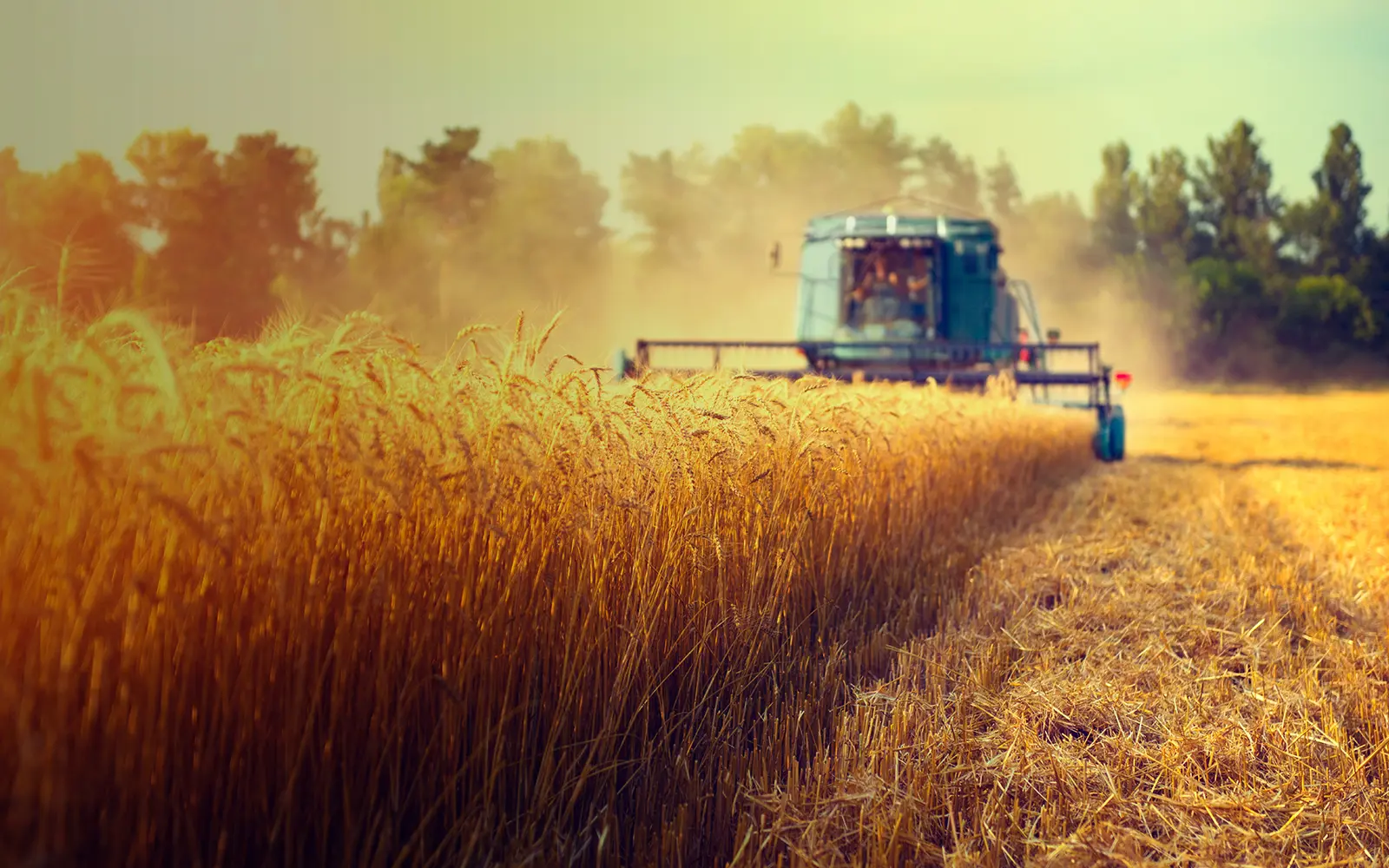 tractor working the field