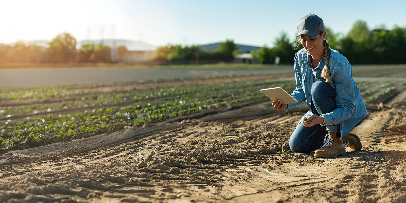 Female farmer in crop testing soil and holding a tablet.