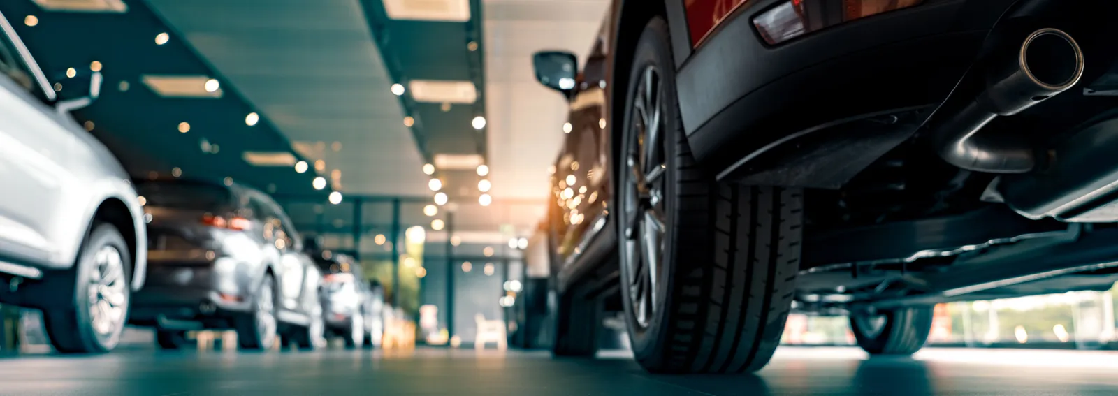 Cars parked in dealership