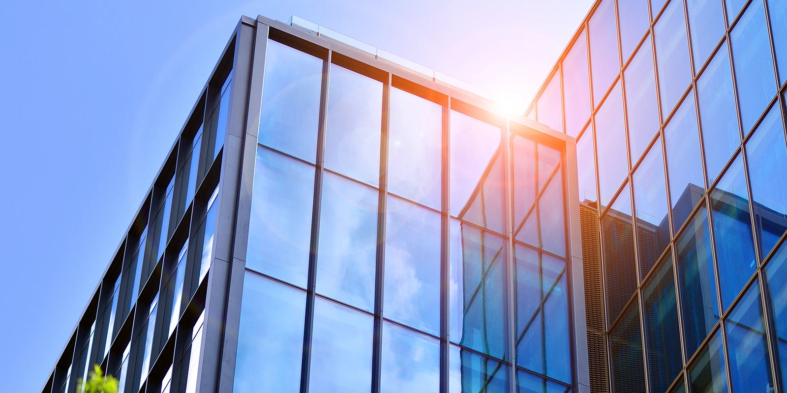 modern building with light reflecting off the windows