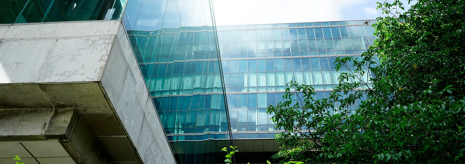 A building featuring a spacious glass window, surrounded by lush trees, creating a harmonious blend of nature and architecture.