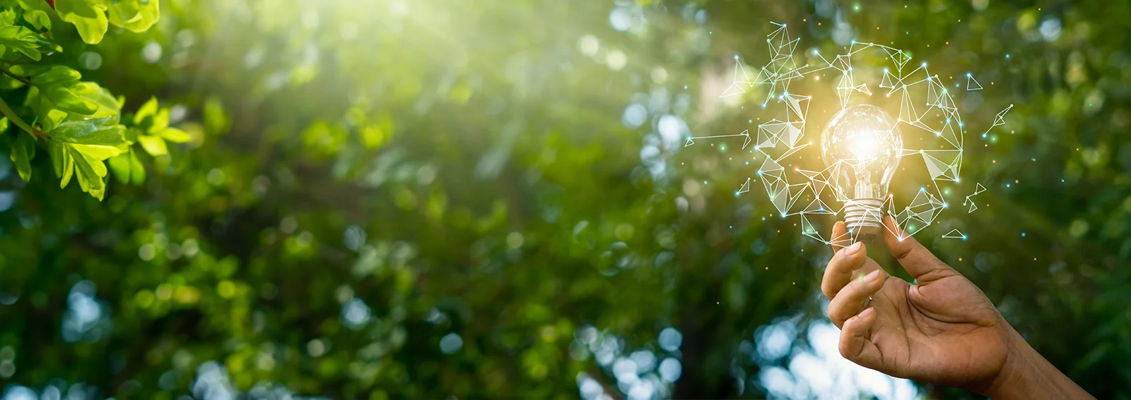 Hand holding a lightbulb in nature